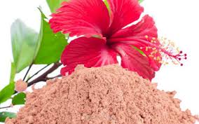 How to make Hibiscus powder
