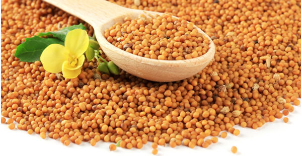 How to make mustard seeds powder