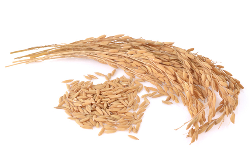 How to make dry rice husk into fine powder